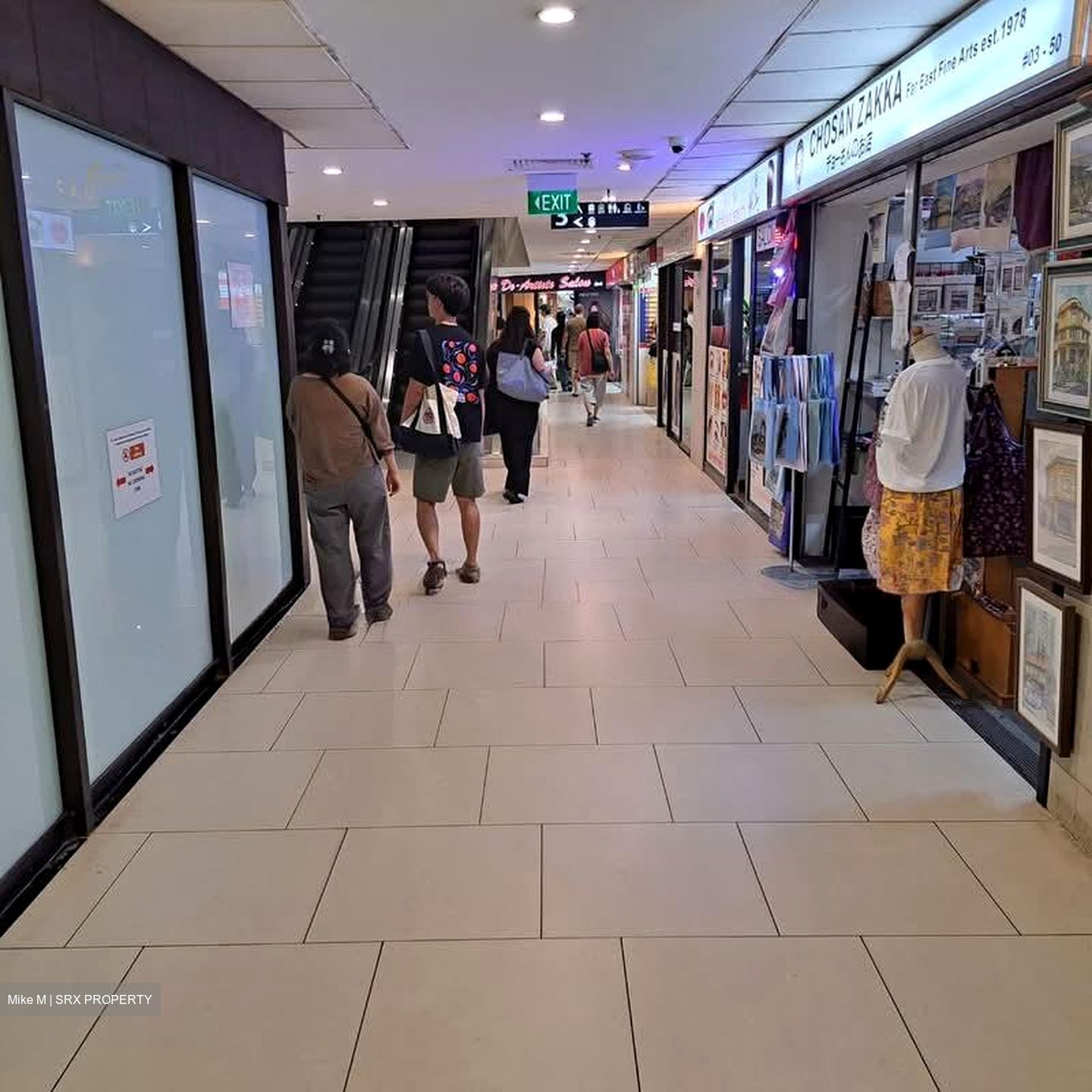 Lucky Plaza (D9), Shop House #537980591